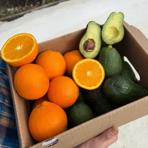 Mixta Aguacate Hass + Naranja Lane Late