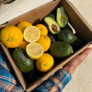Mixta Aguacate Hass y Limón