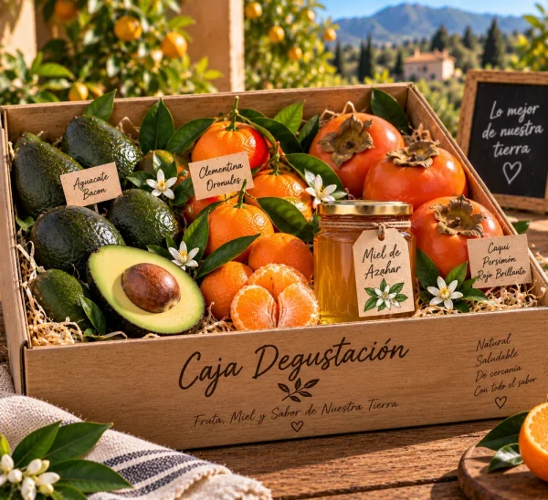 Caja Degustación de temporada - Mandarinas, Aguacates, Caqui y Miel